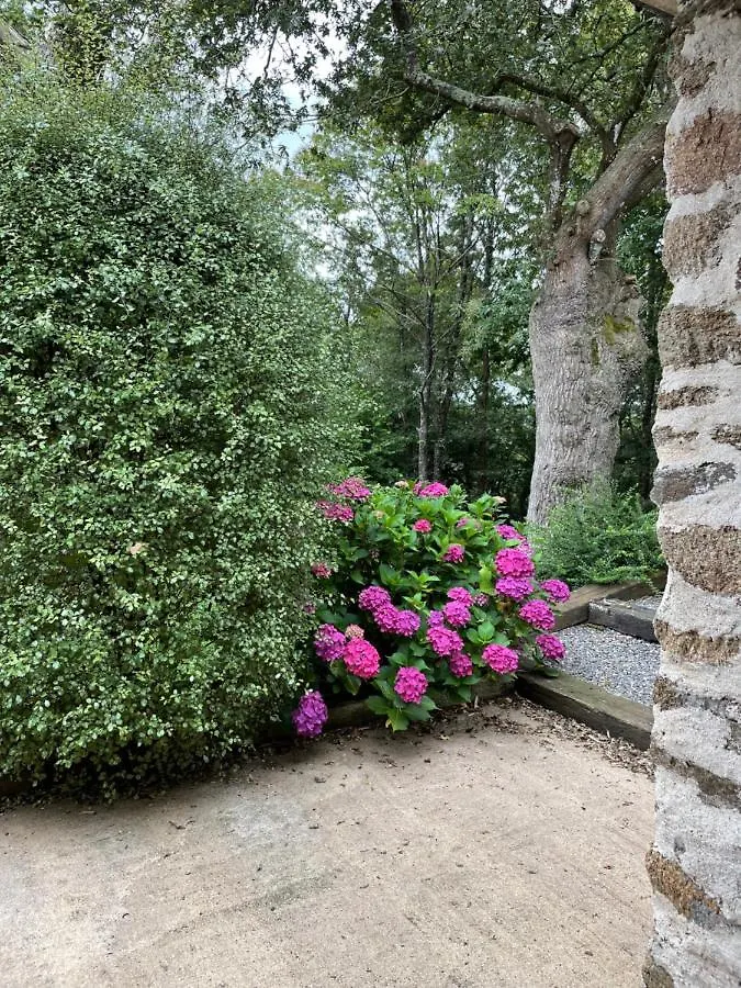 Magnifique Villa Avec Jacuzzi Pluherlin Frankrijk